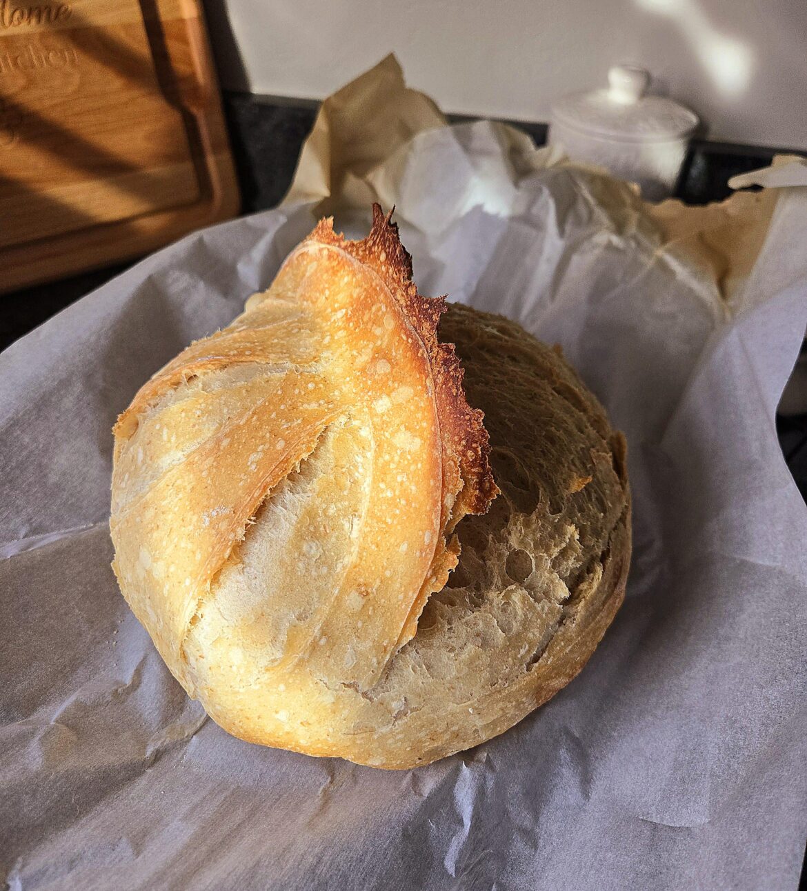 Finally an ear I am proud of!