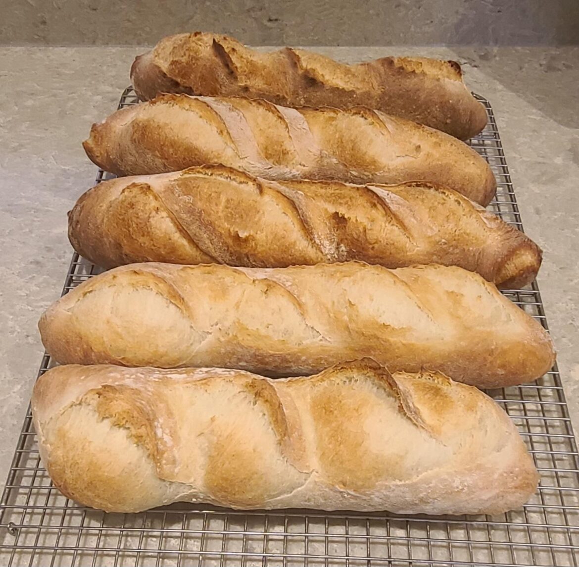 The wife wanted baguettes for her book club meeting tonight so I started these 3 days ago