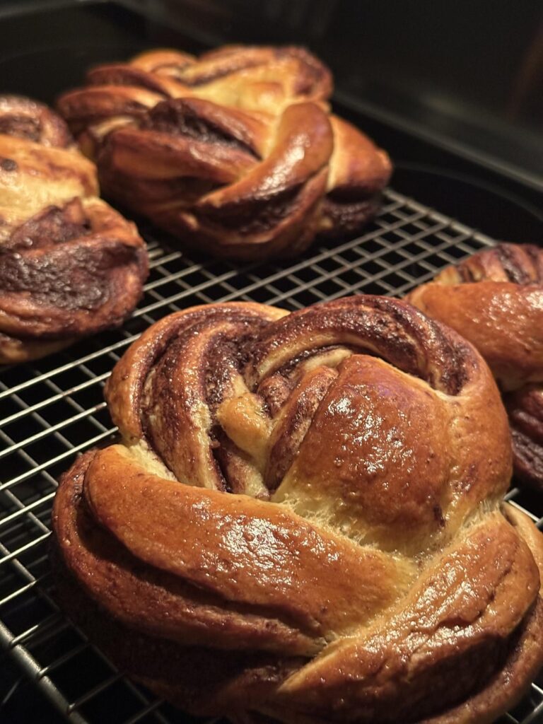 First Chocolate Babka Attempt
