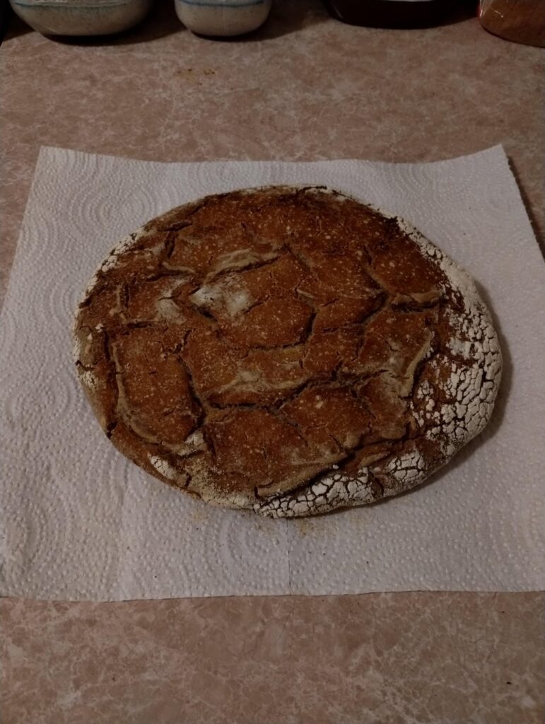 My first ever sourdough loaf