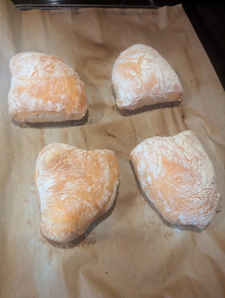 1st Attempt at Ciabatta