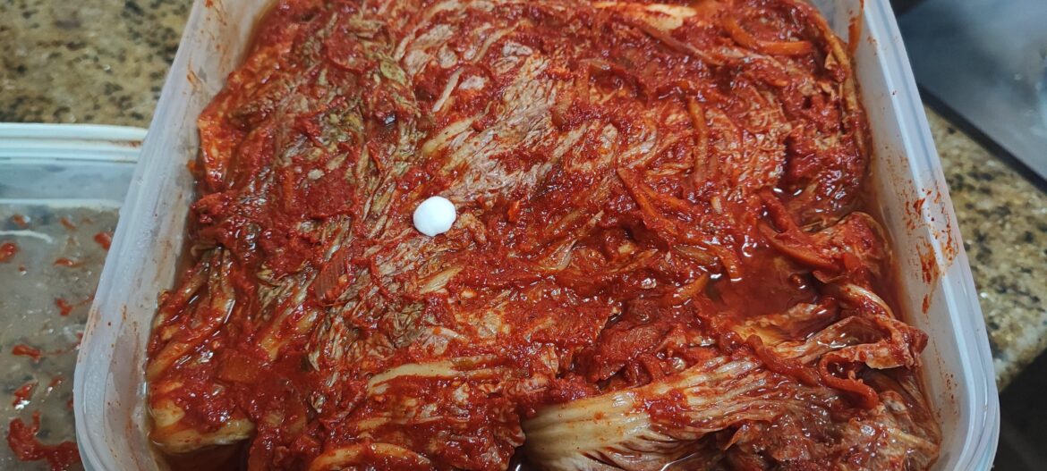 Is this mold or yeast?