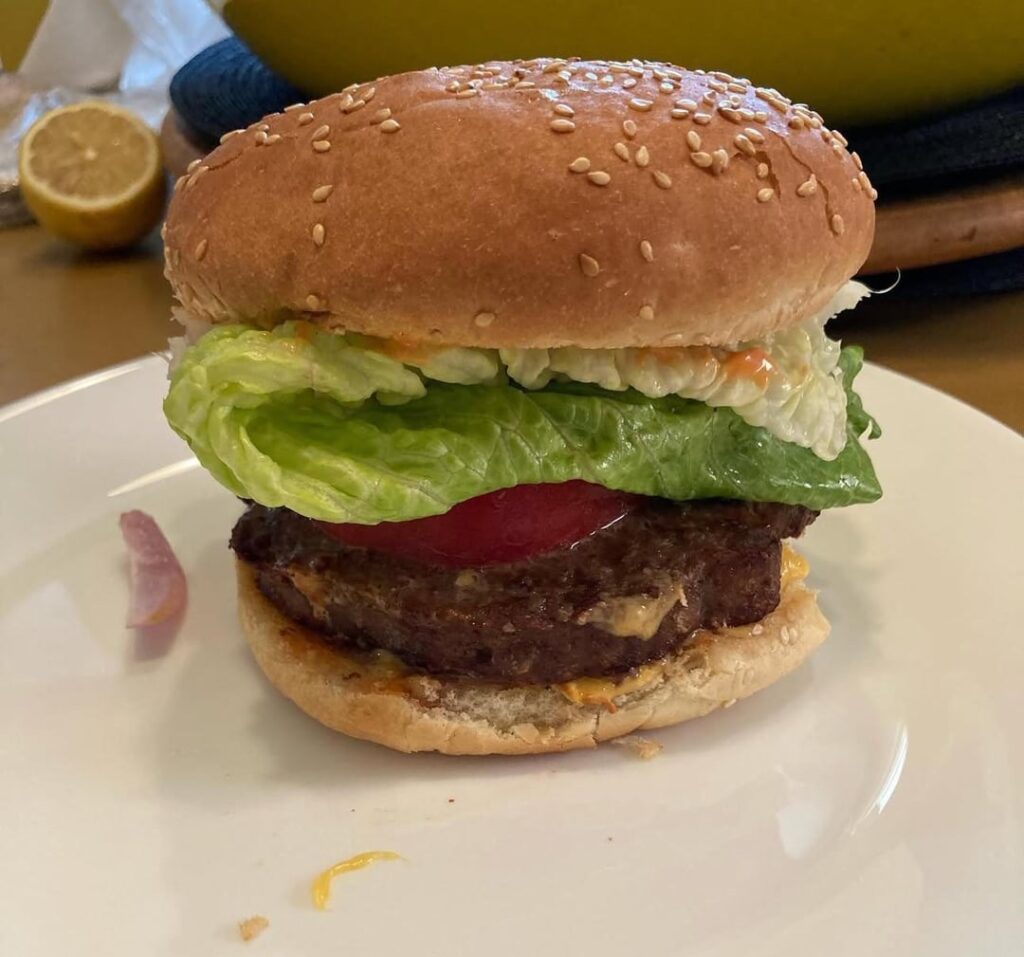Air fried burger.  Less than 15 mins to create this masterpiece lol