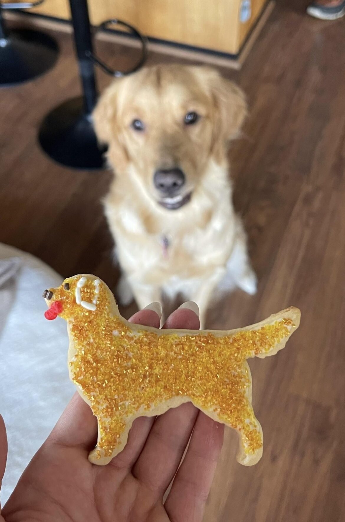 I made a cookie version of my dog