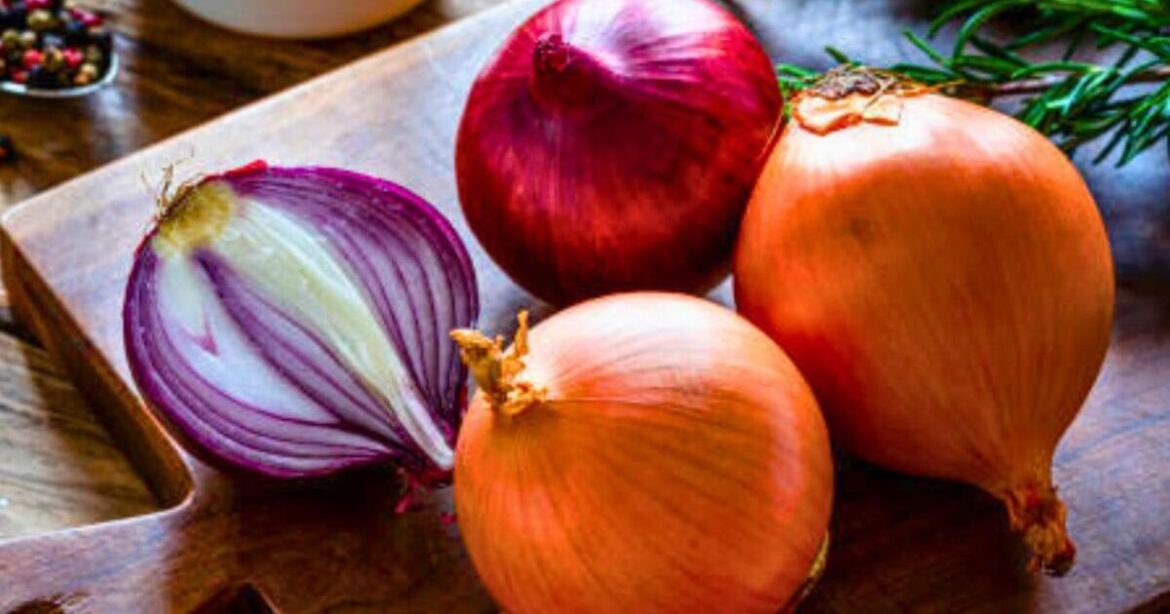 Onions will not spoil or become mouldy is stored away from 1 common Christmas vegetable Onions will not spoil or become mouldy is stored away from 1 common Christmas vegetable