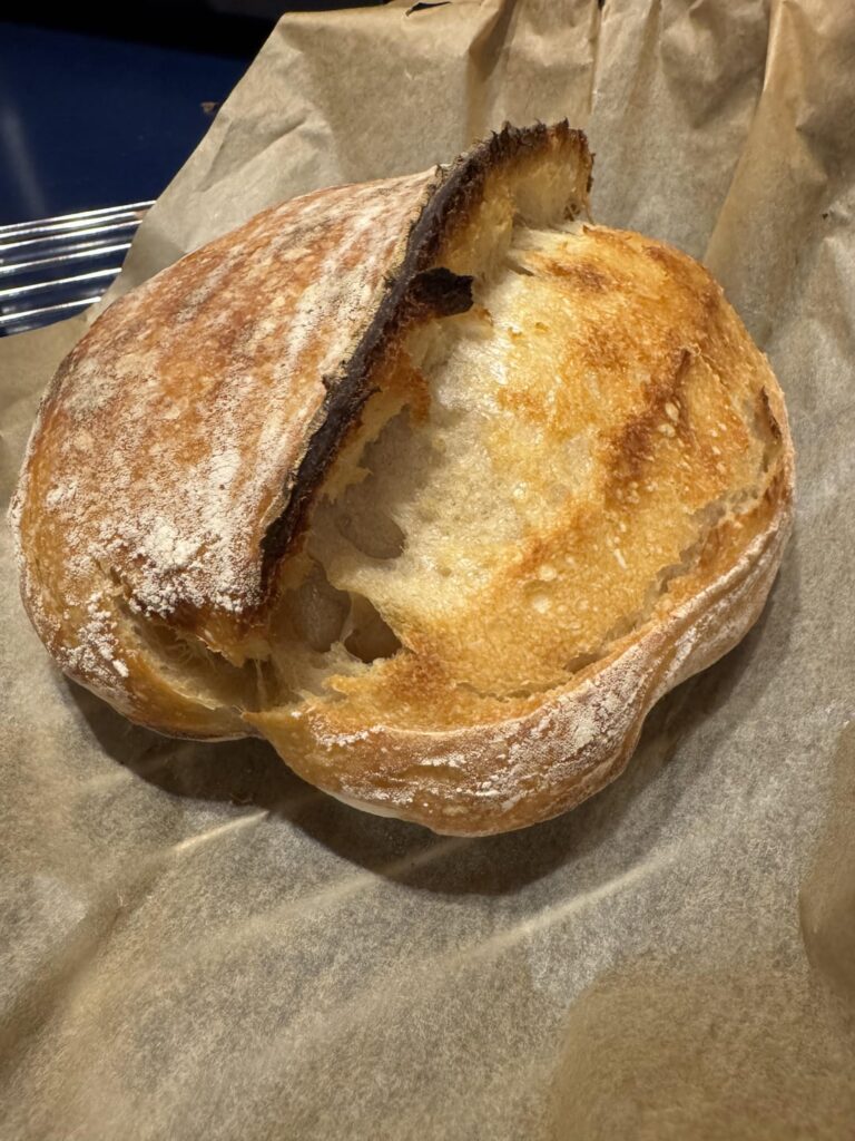 My first loaf!! So proud of myself. Any feedback appreciated.