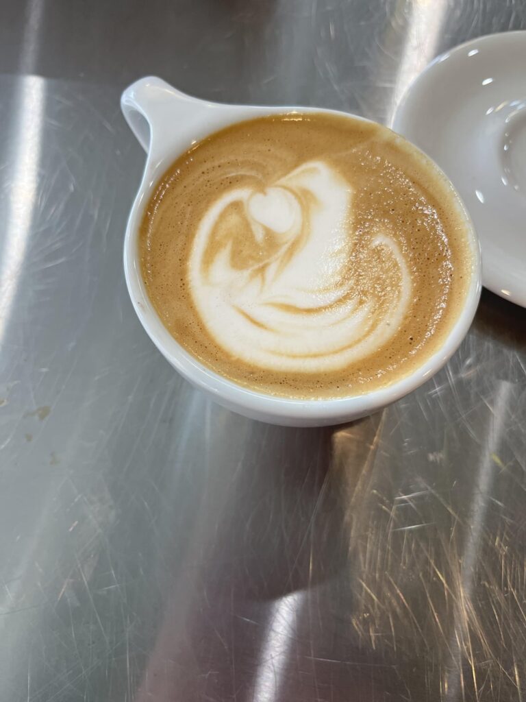 First swan tries
