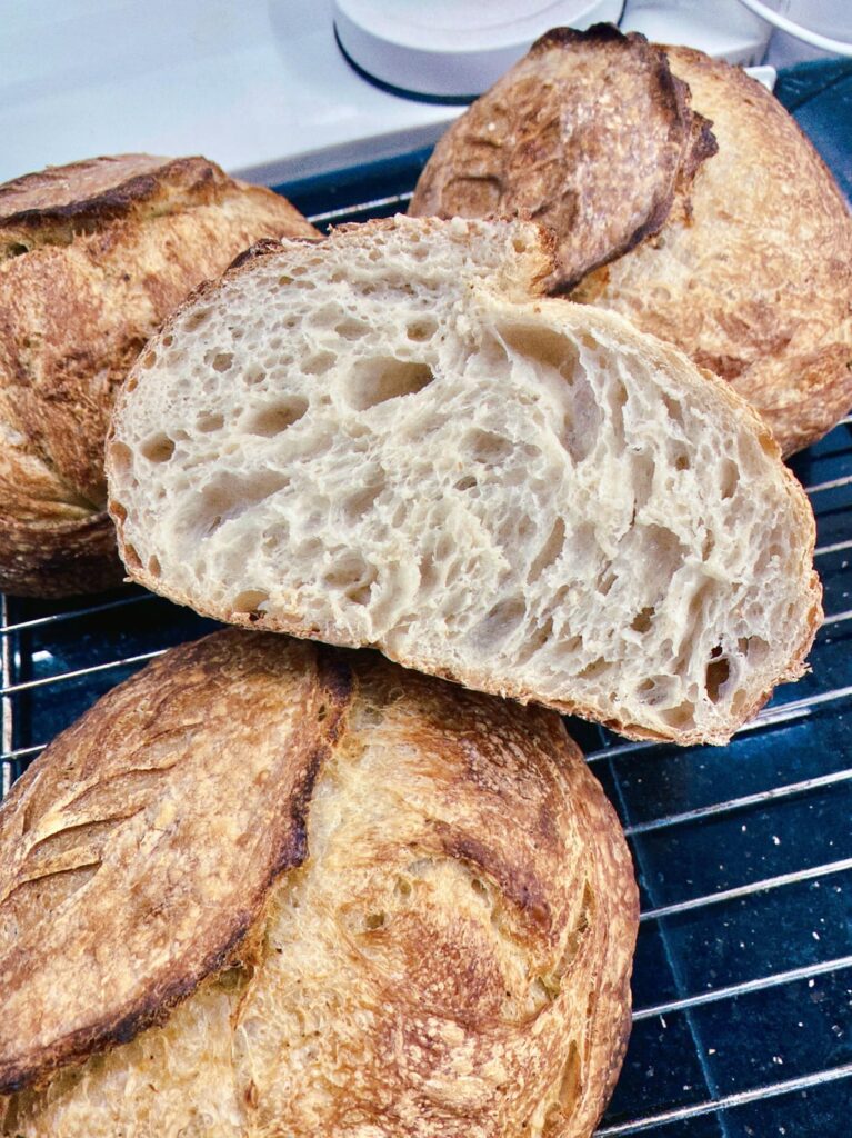 back to basic - 100% bread flour loaf