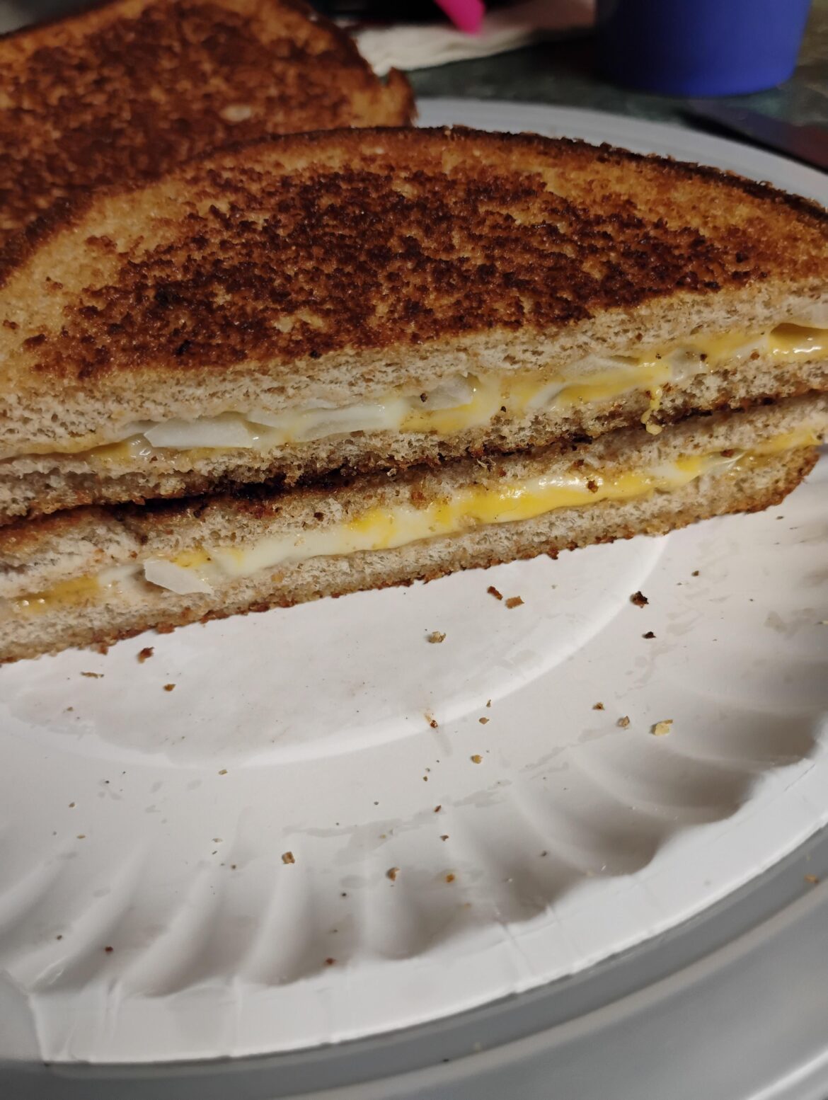 Here's to you, guy who put onions in his grilled cheese.