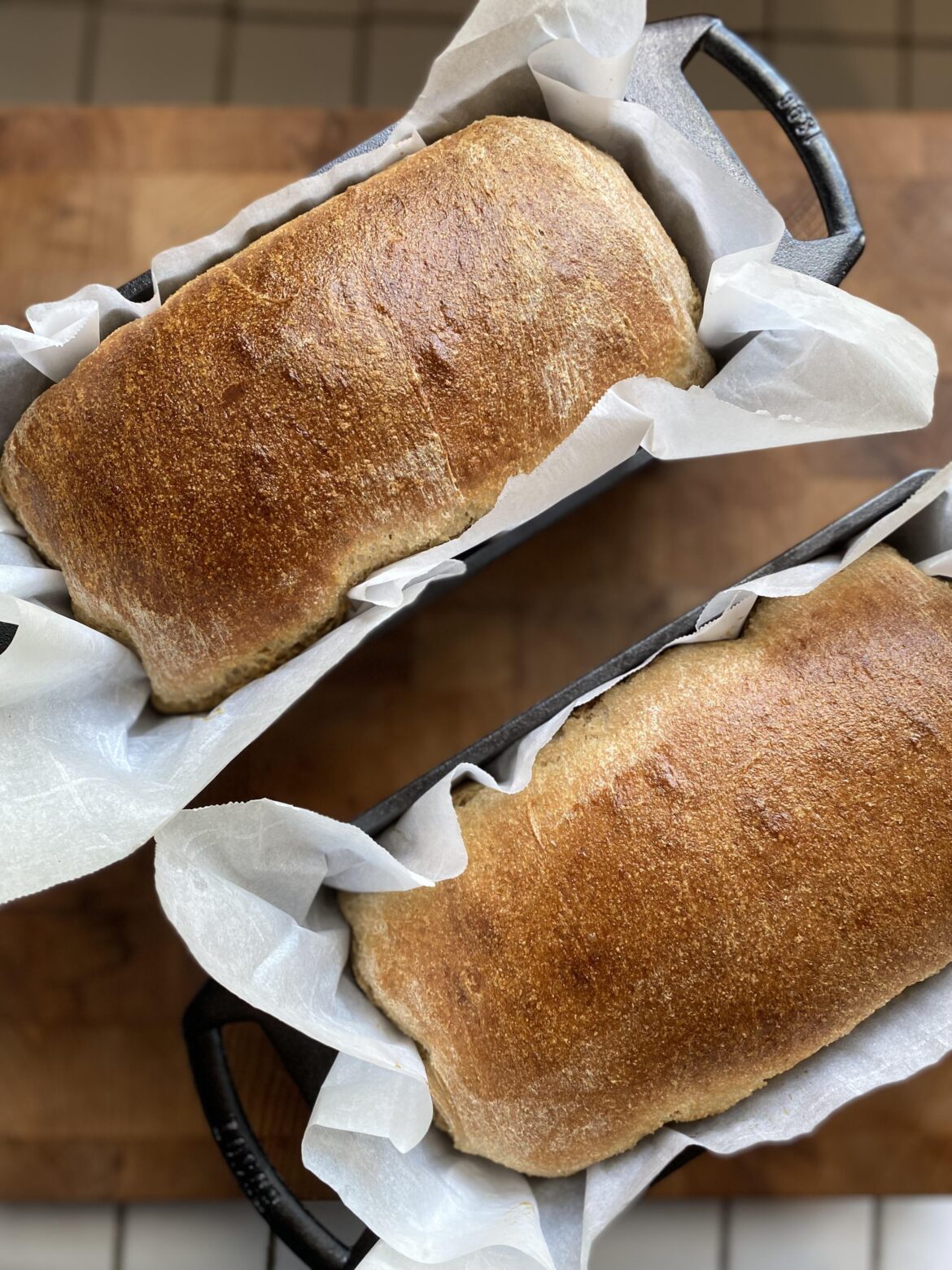 sourdough with home-milled flour! sourdough with home-milled flour!