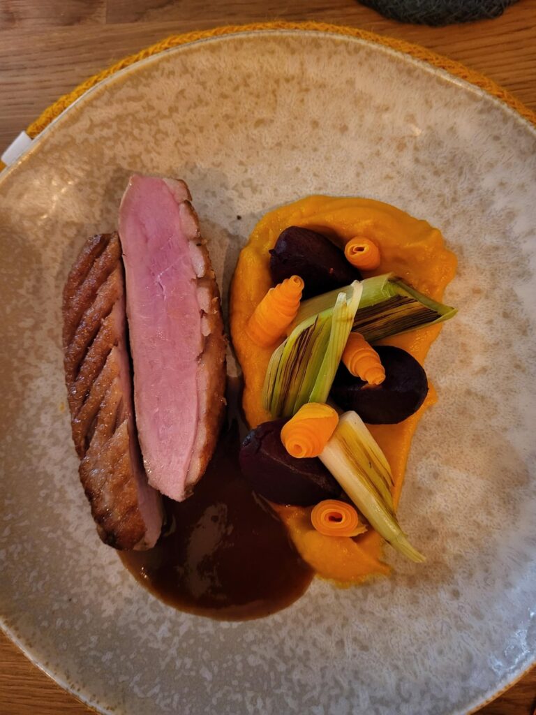 Duck breast, carrot, leek, and beetroot