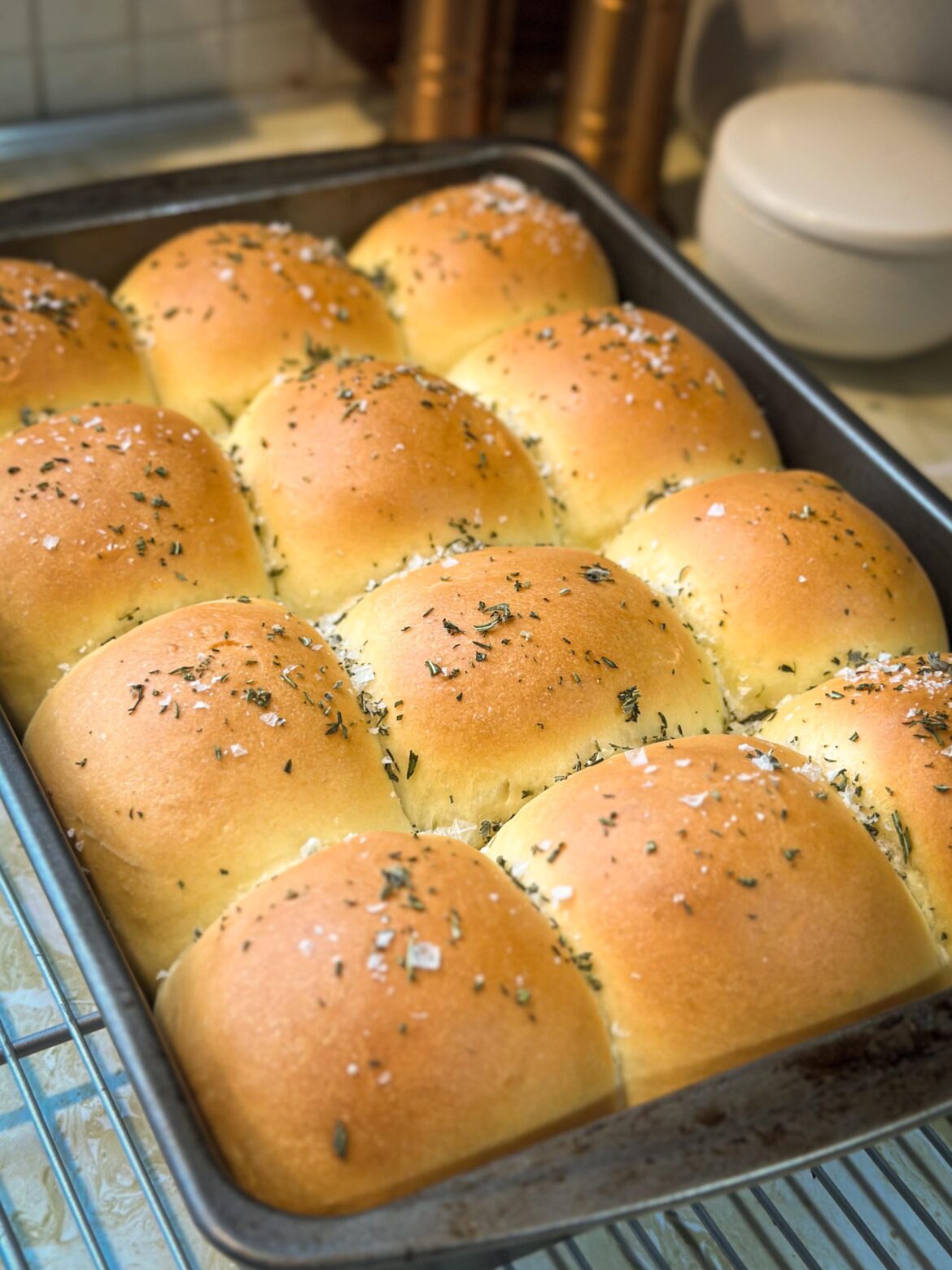 Second time making dinner rolls