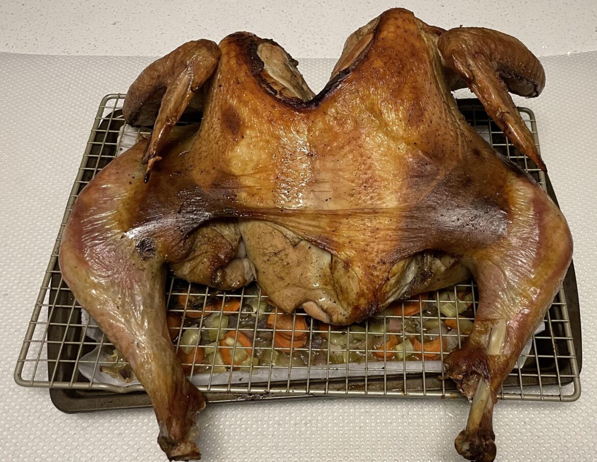 Thanksgiving Turkey