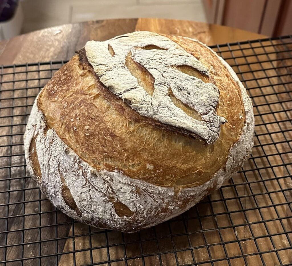Loaf doesn’t seem over- or underproofed, I think (?) but crumb is pretty closed. Why would this be?