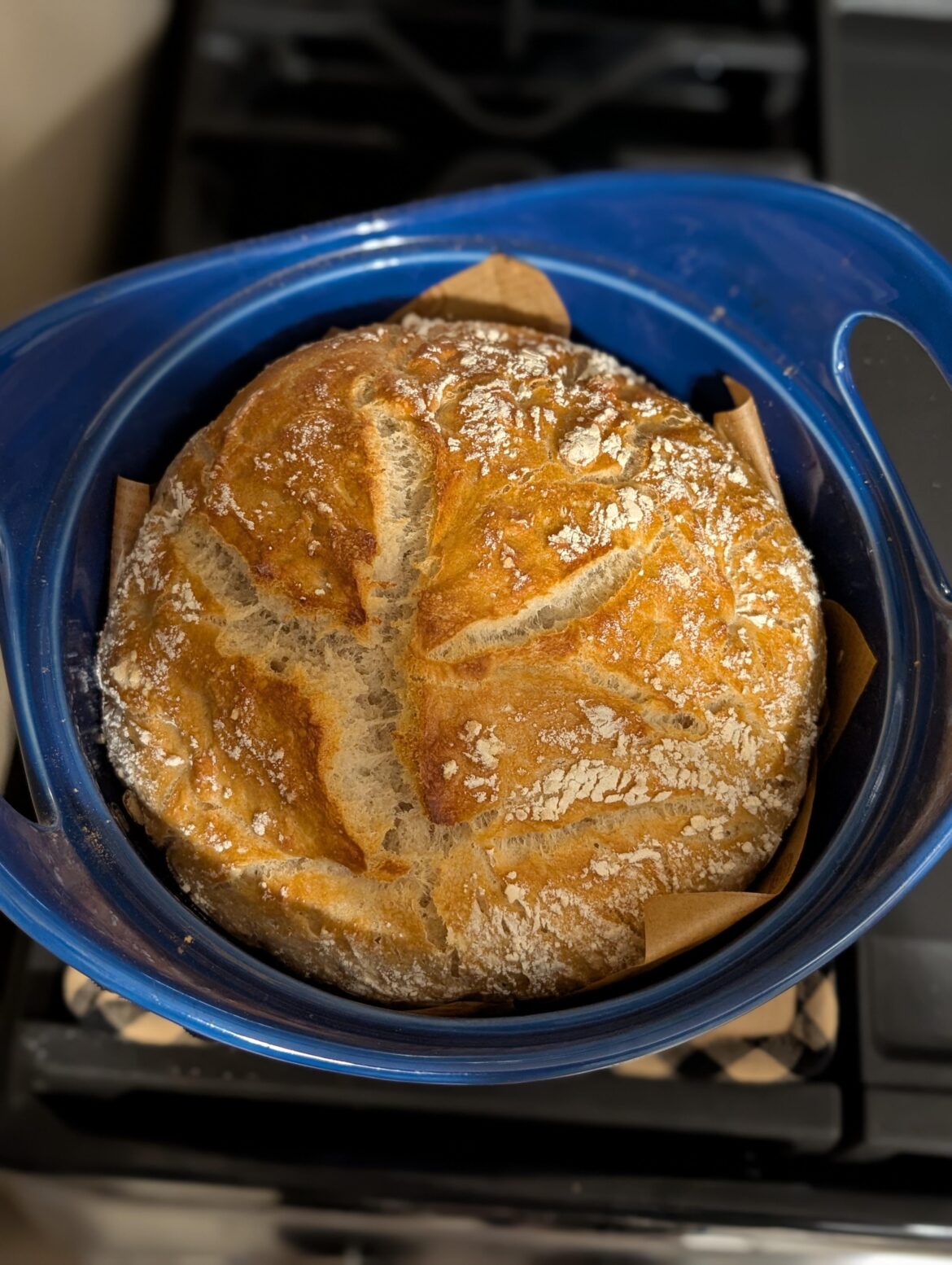 First Sourdough Loaf First Sourdough Loaf