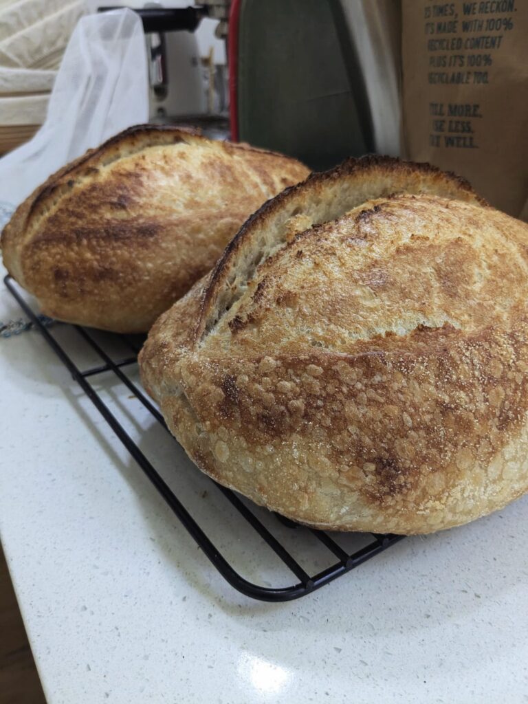 Finally getting the oven spring I’ve been chasing for so long Finally getting the oven spring I've been chasing for so long