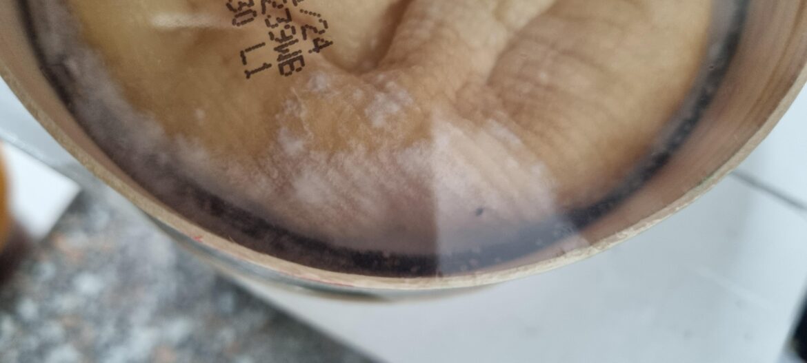 Mont d'Or - still OK to eat?