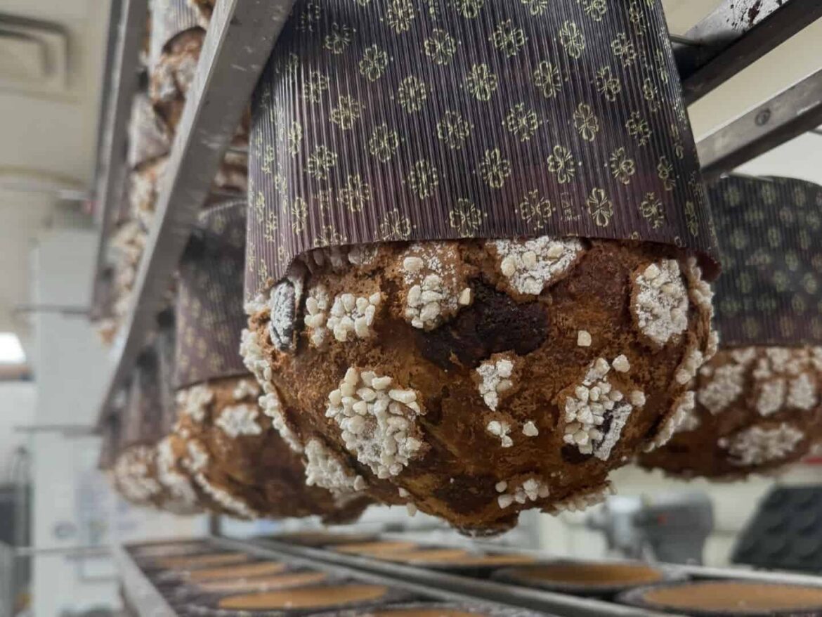 10 places to get panettone in Toronto