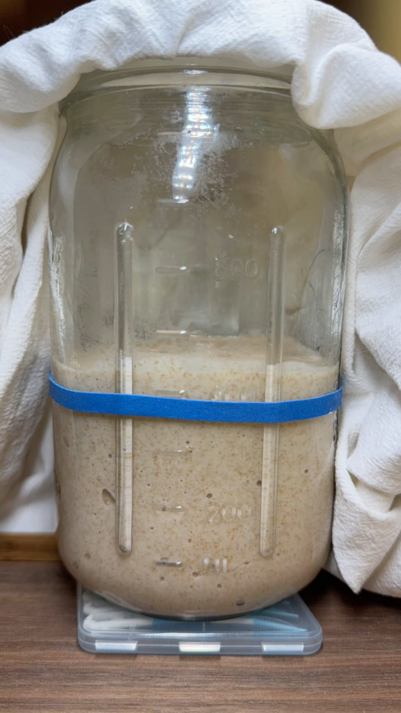 Time Lapse of My First Starter