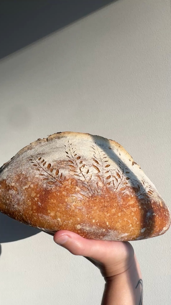 Finally got an ear! Finally got an ear!