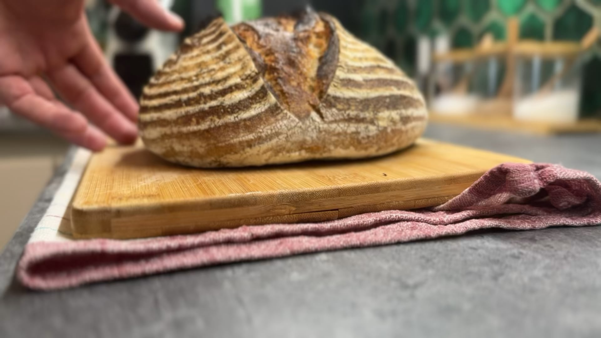Today’s boule (with sound) Today’s boule (with sound)