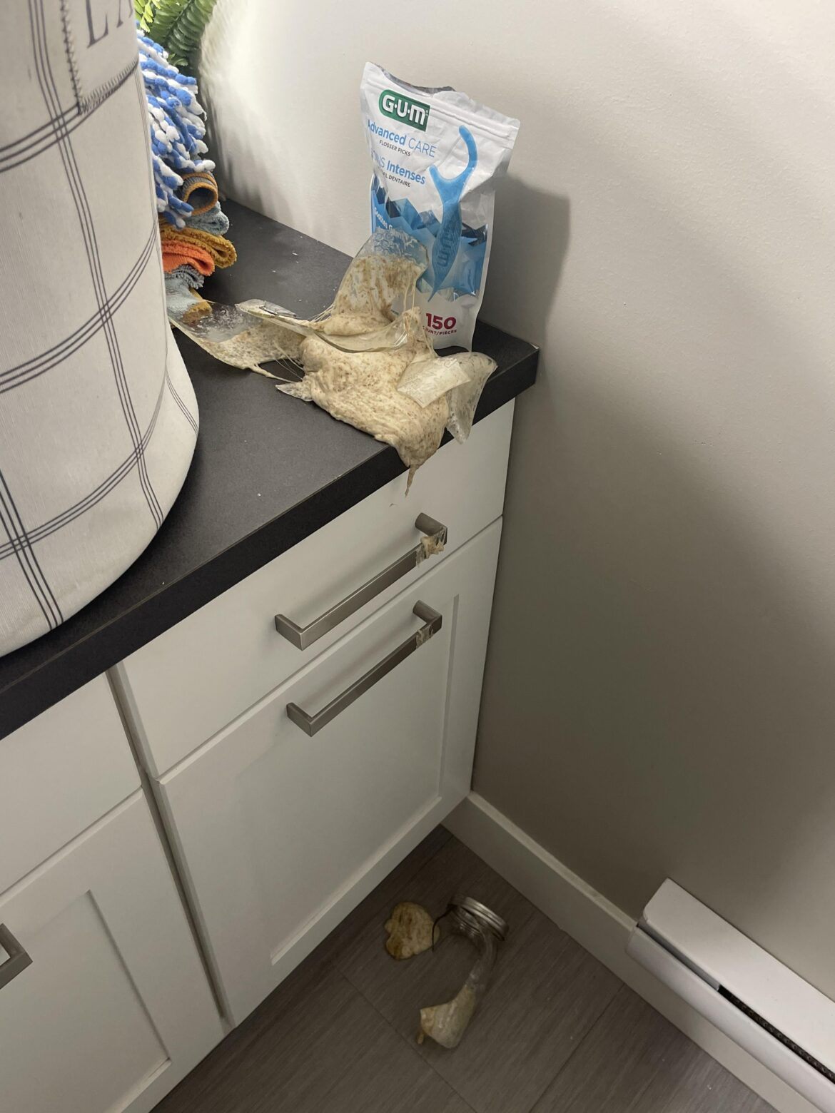 Instructions unclear, made a bomb.