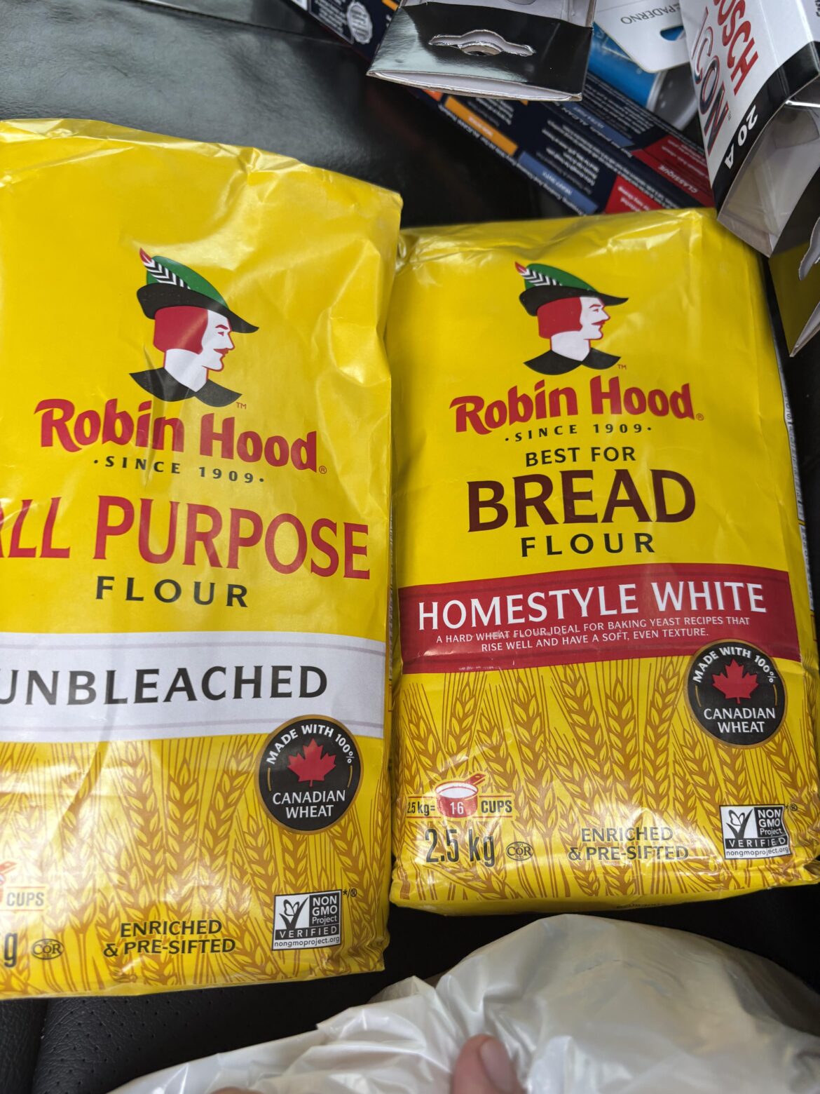 Which one should I use?