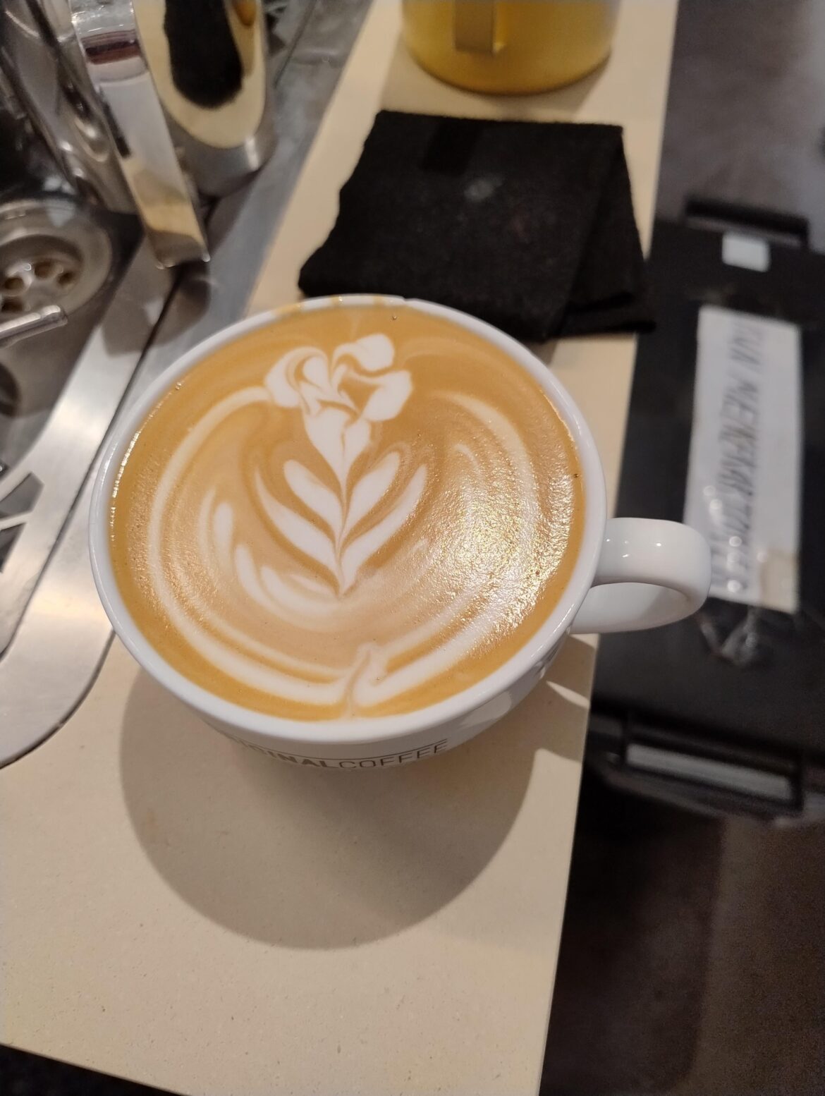 My first rose! (Kinda)