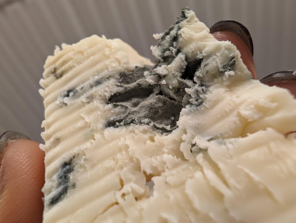 Blue cheese macro shots