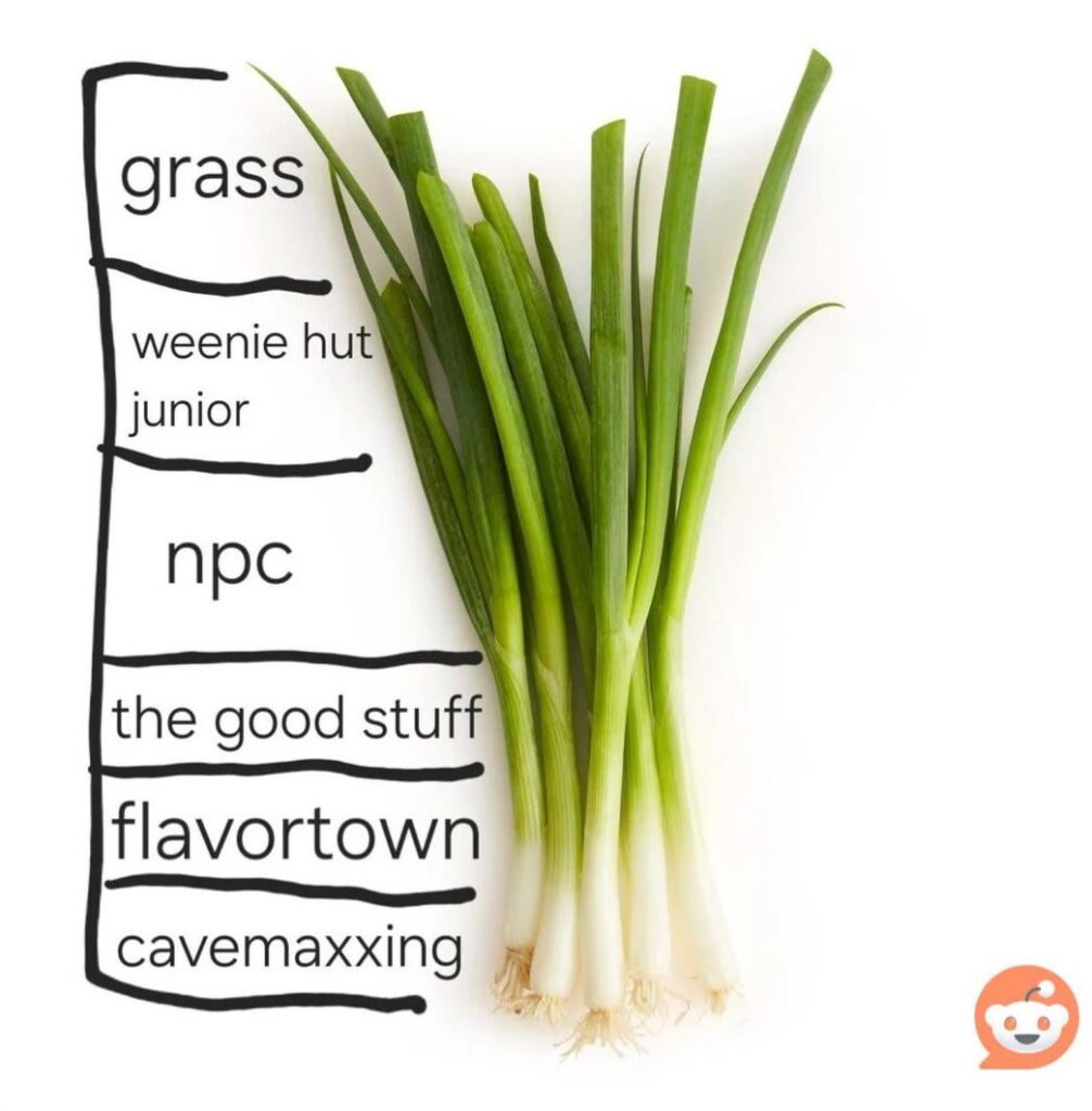 Thought we would all enjoy this. Agree or disagree?