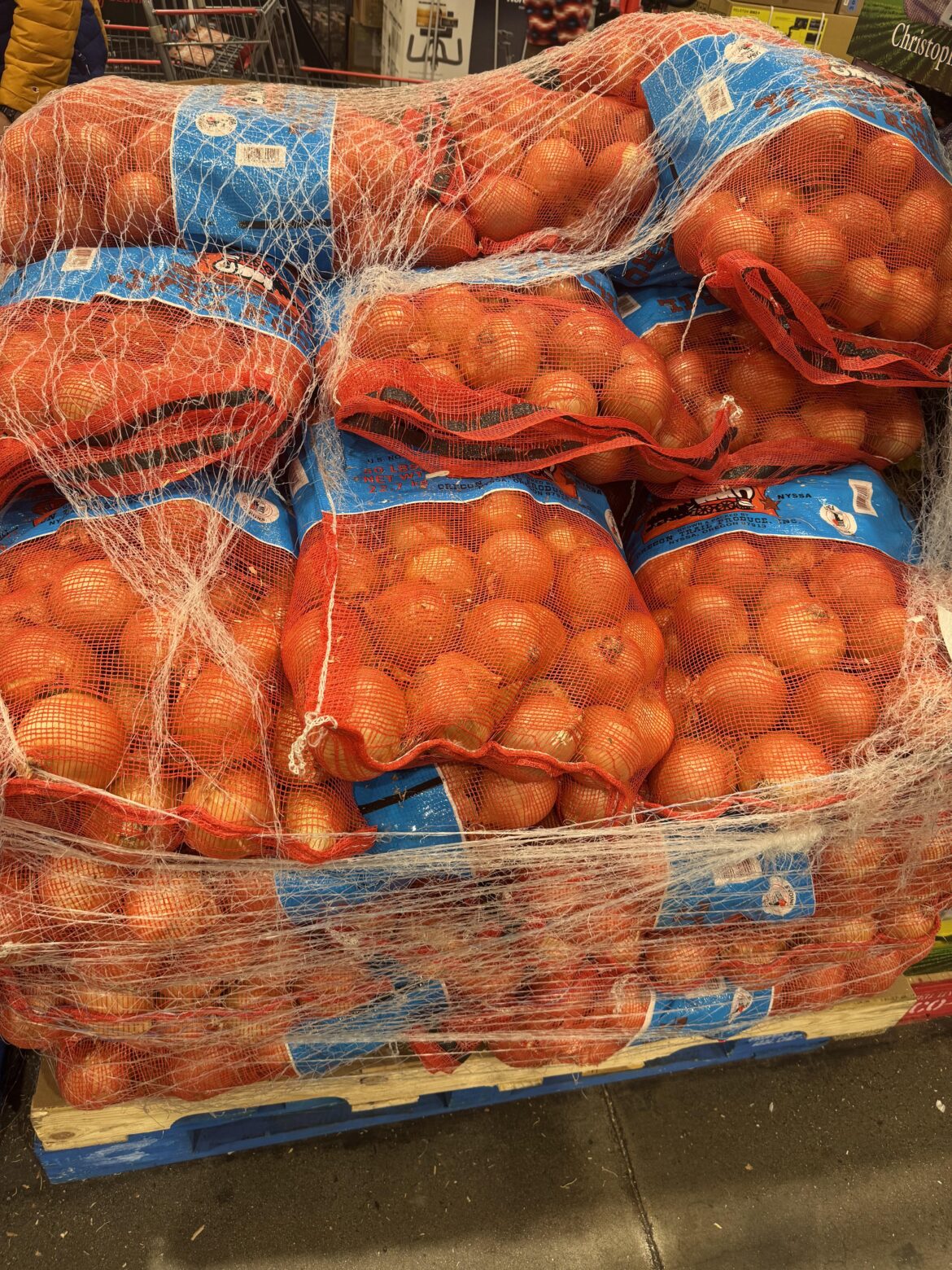 ARE YOU NOT ENTERTAINED?