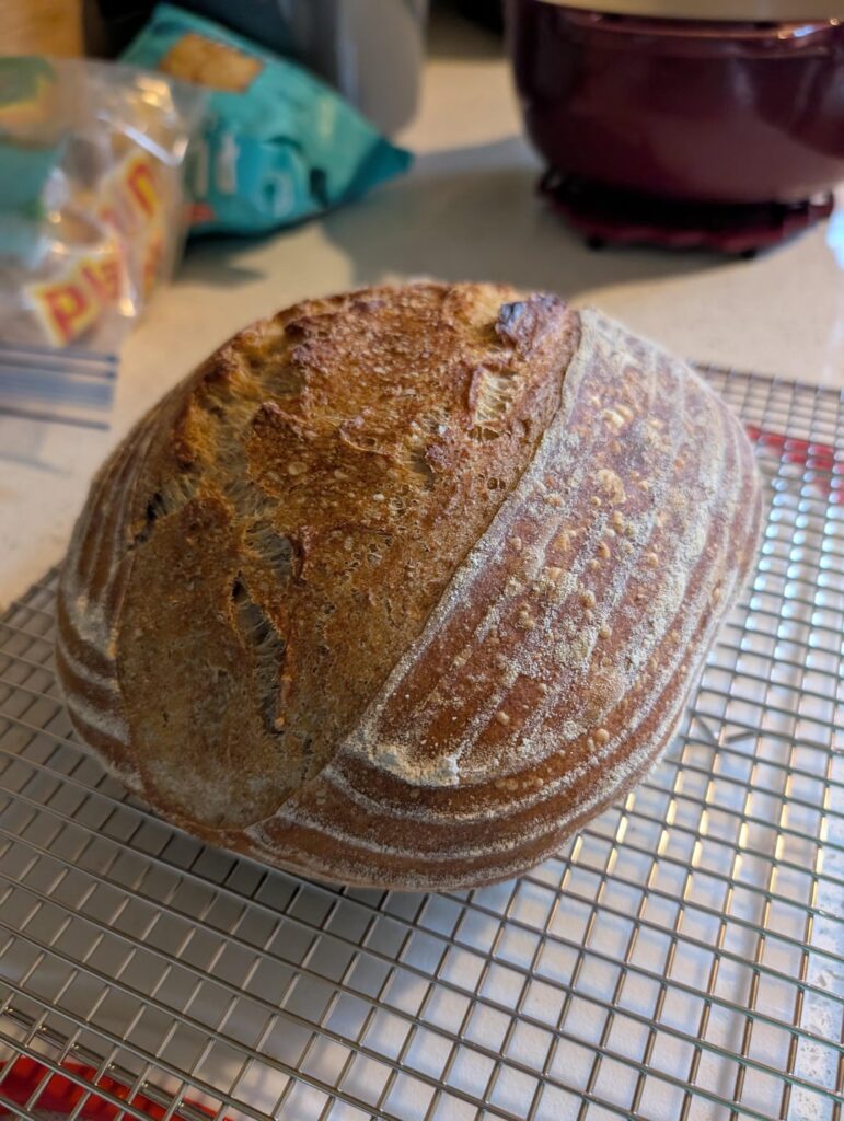 How'd I do? Still trying to get used to a heated bulk ferment