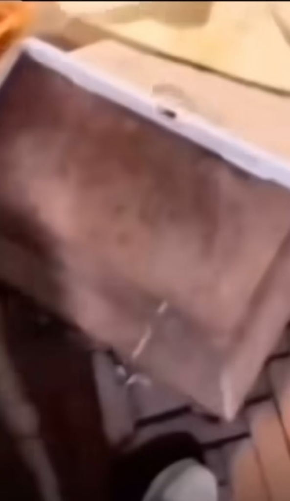 What do you guys think