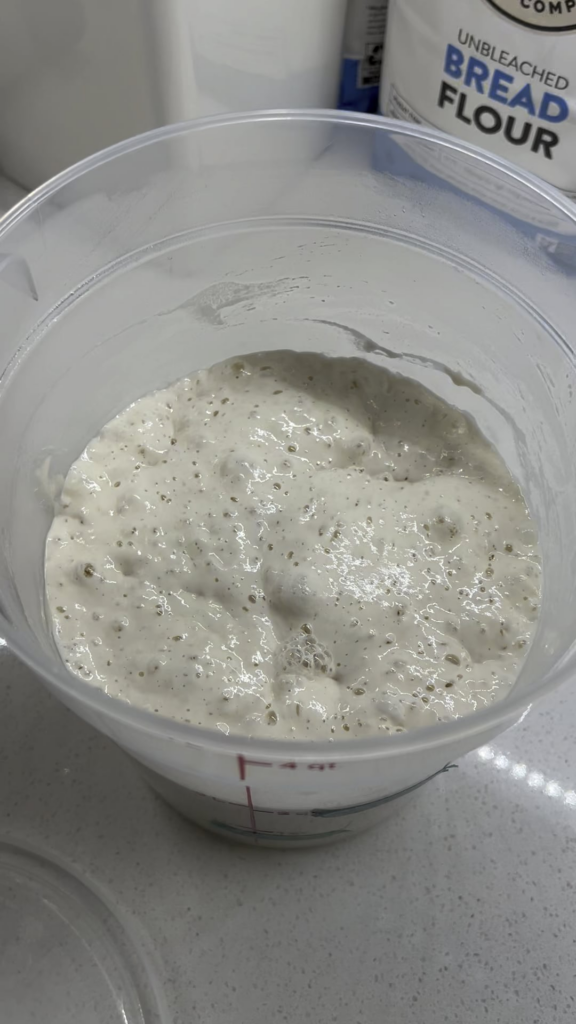 Does my starter seem healthy??