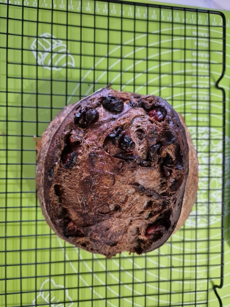 First loaf with inclusions! First loaf with inclusions!