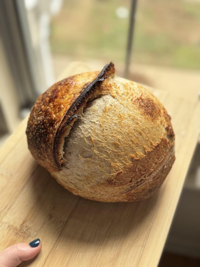 Accidentally left this one in the fridge for ~48 hours! Holiday season hustle. Accidentally left this one in the fridge for ~48 hours! Holiday season hustle.