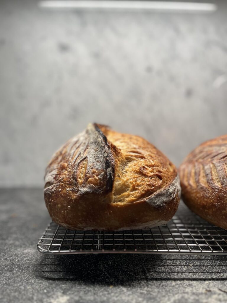 Elves aren’t the only ones with big ears! (finally)