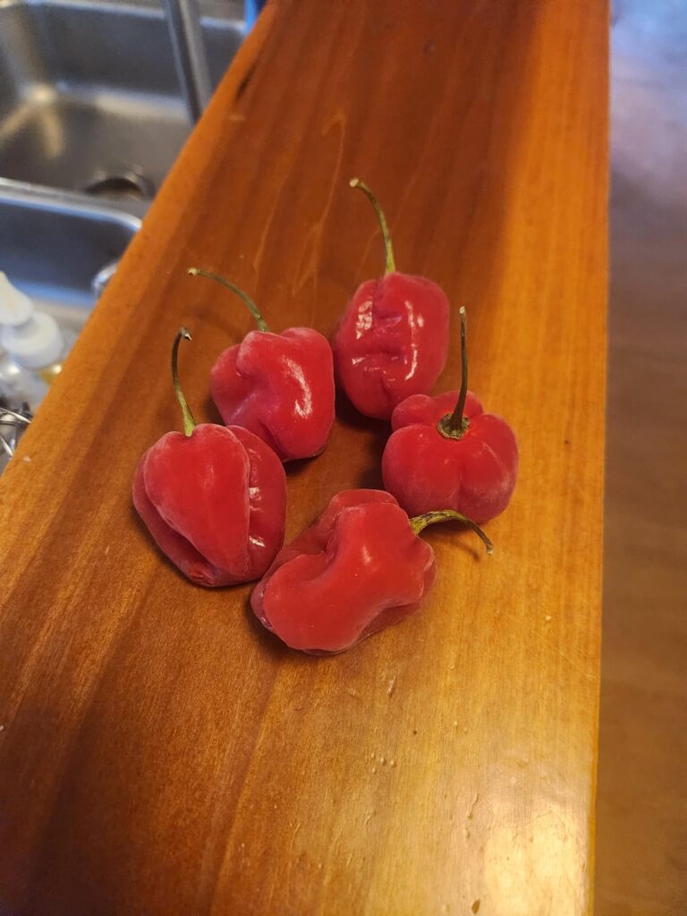 Crazy hot dirty rice