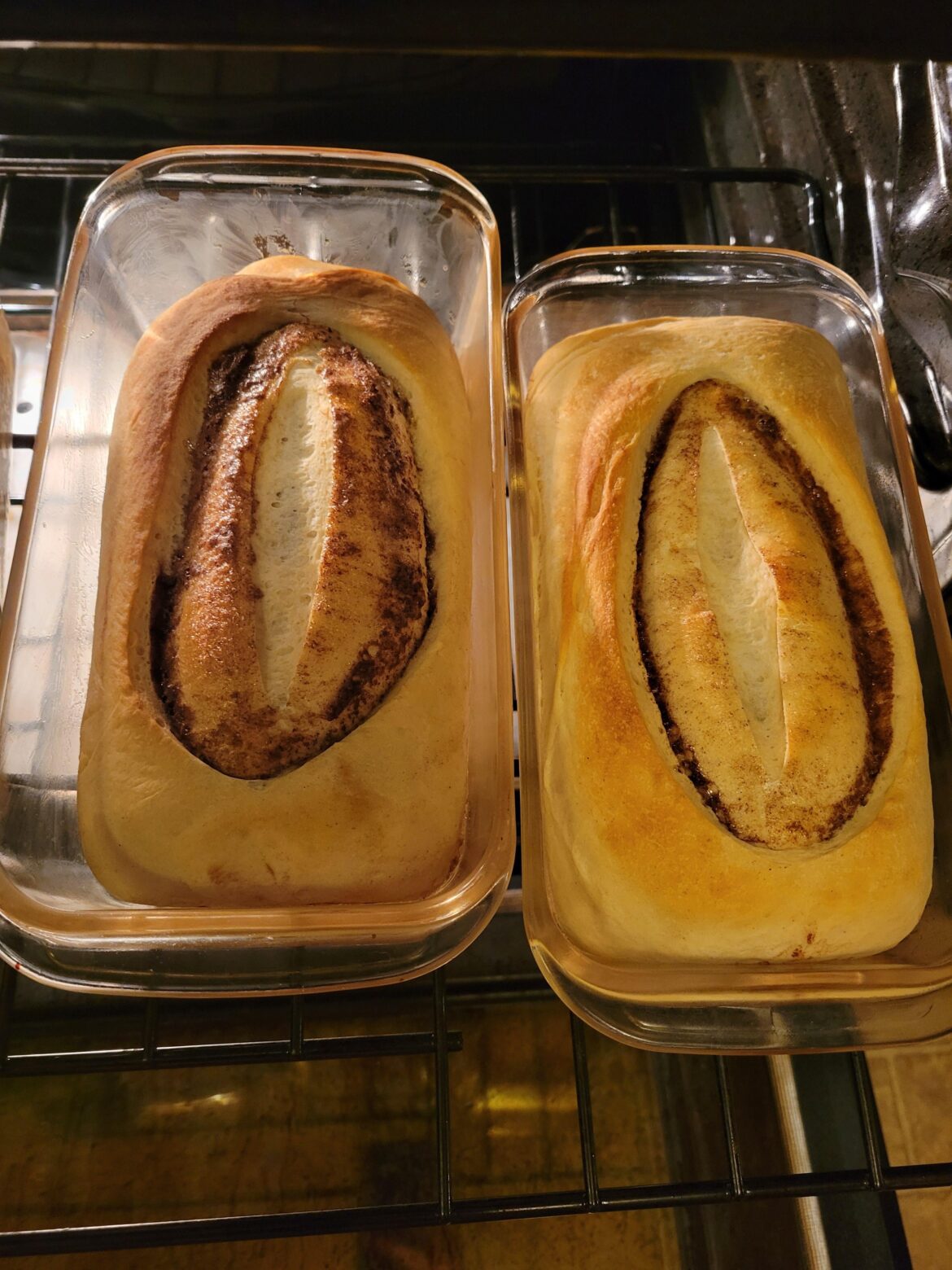 I...uhh...didn't expect them to come out like that. Cinnamon swirl bread.