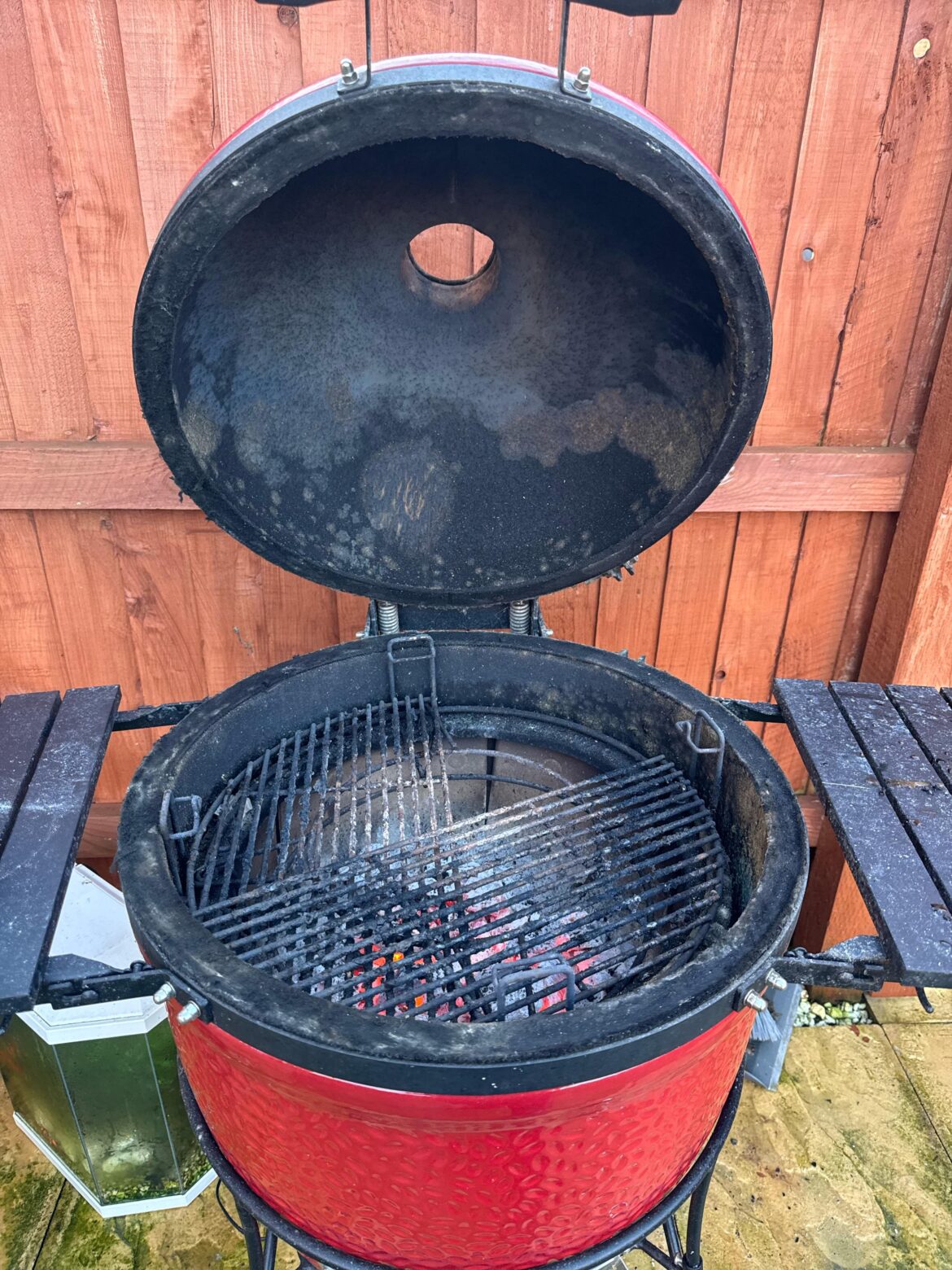 Mold burn off results