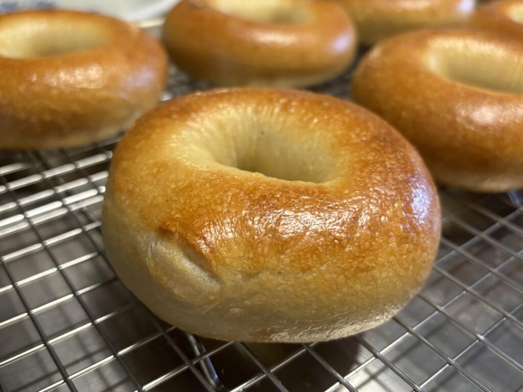 NY Style bagels I baked up this morning (first time making bagels)