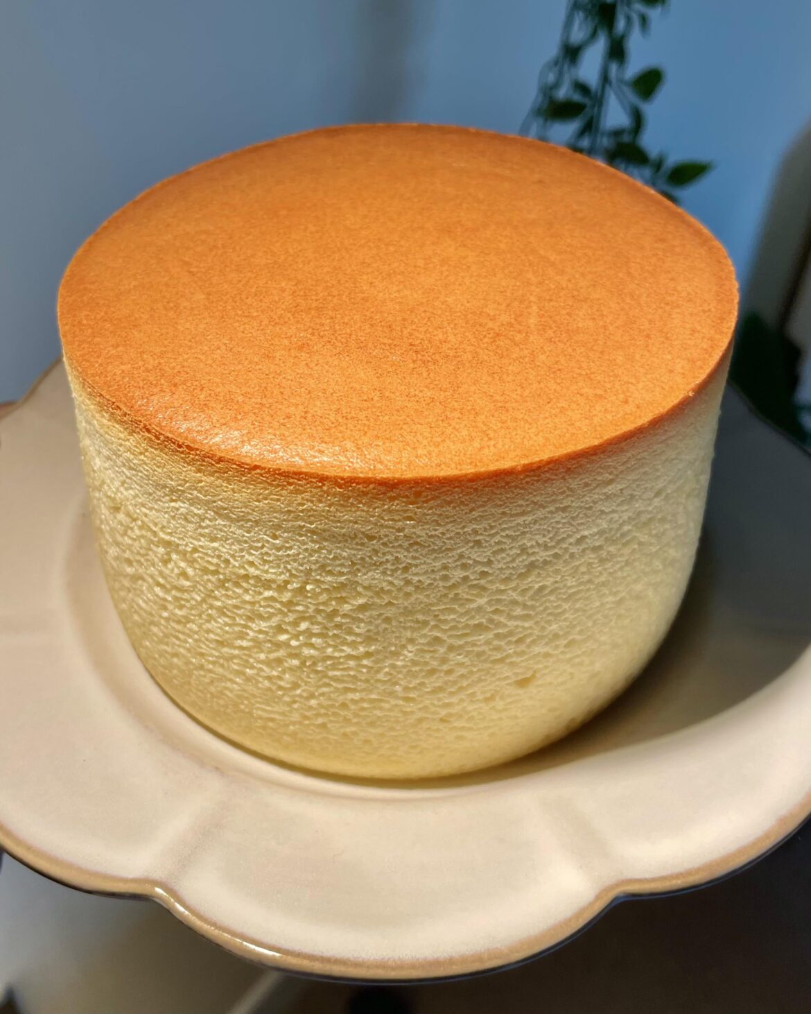 My first Japanese cheesecake
