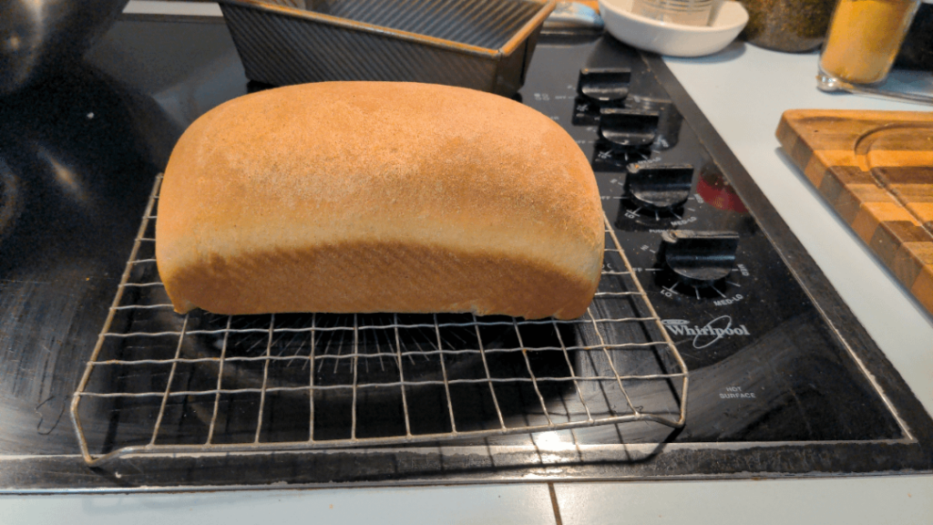 Made some bread, don't have anyone to tell