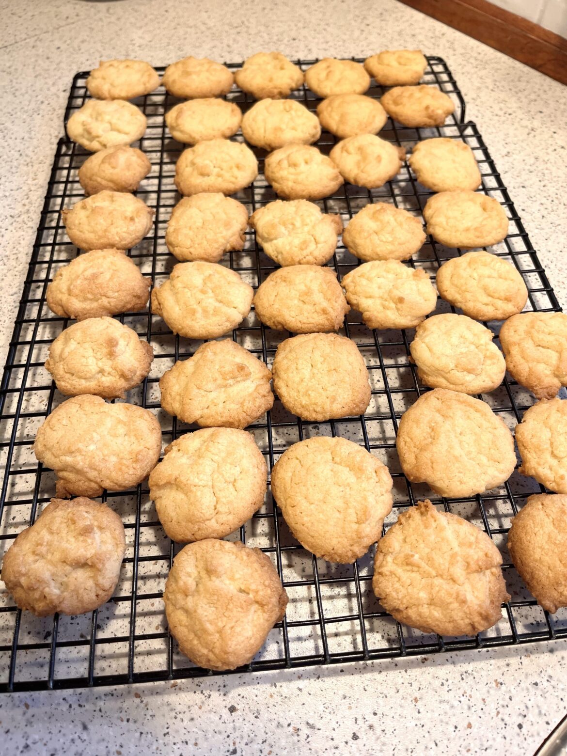 Vanilla cookies