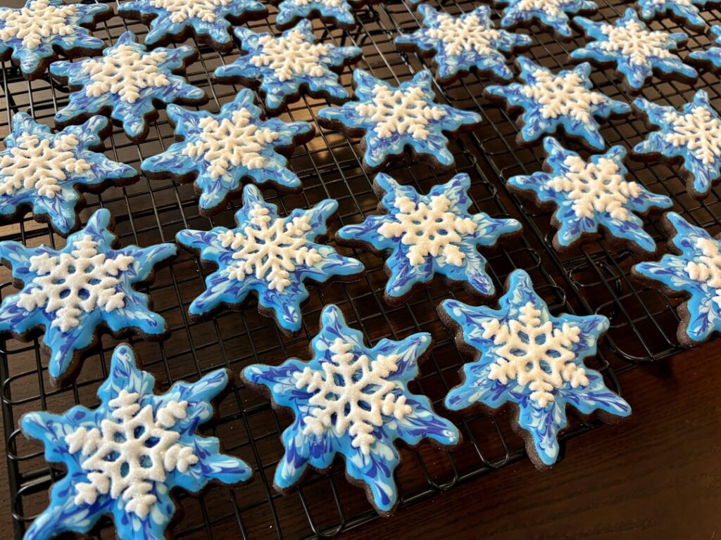 My first time decorating with royal icing transfers