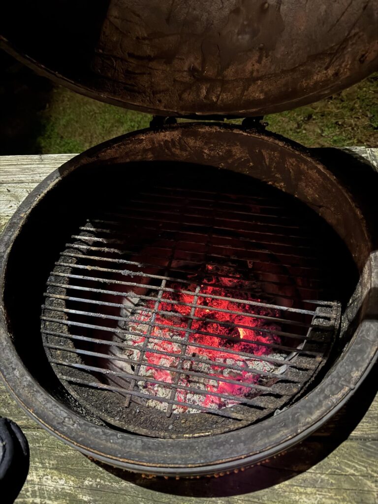 Mold in Green egg after not using for 3 months?