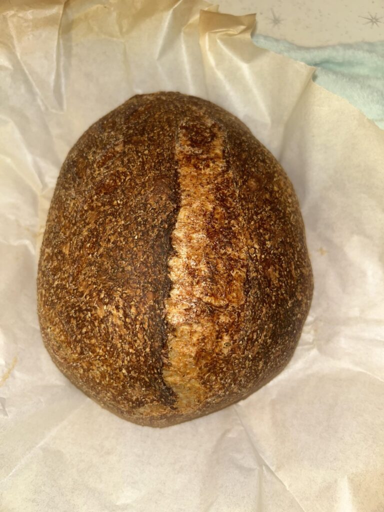 MY FIRST SOURDOUGH PLZZ ROAST ME