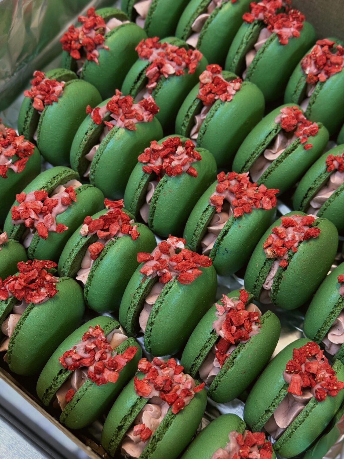 they are so beautiful! like flowers in a spring garden