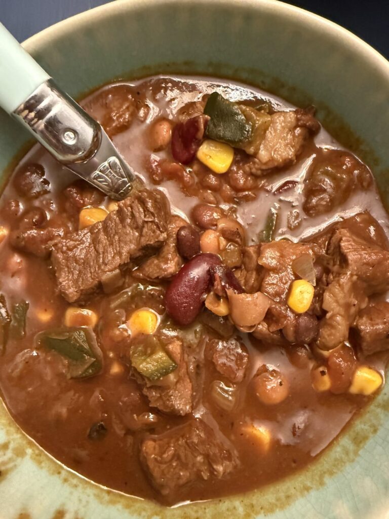 Does my seared, short rib chili fit this sub?