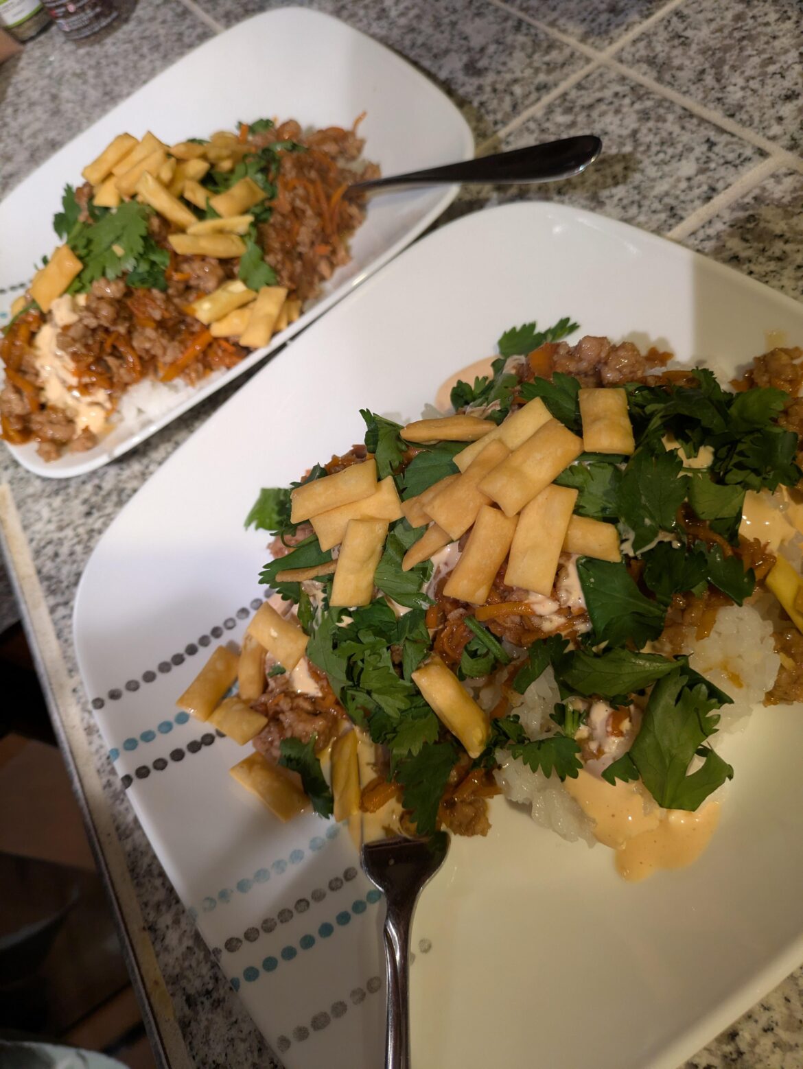 Sesame soy pork bowl